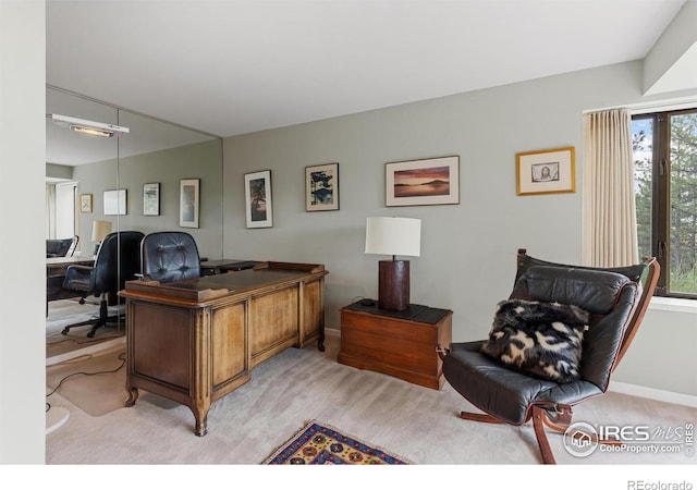 271 Anemone Dr, Boulder, CO 80302 - office space featuring light colored carpet and baseboards