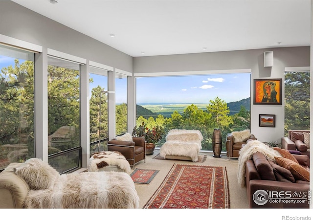 view of carpeted living room