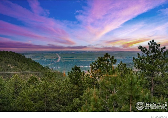 271 Anemone Dr, Boulder, CO 80302 - water view with a heavily wooded area
