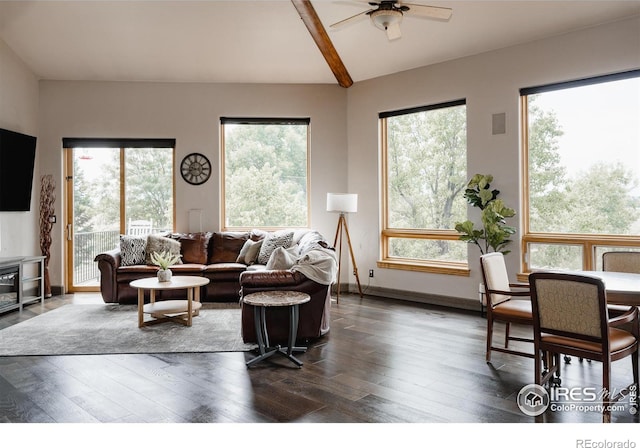 living room featuring dark hardwood / wood-style floors, ceiling fan, and a wealth of natural light