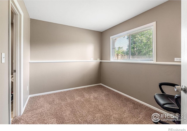 unfurnished room featuring carpet