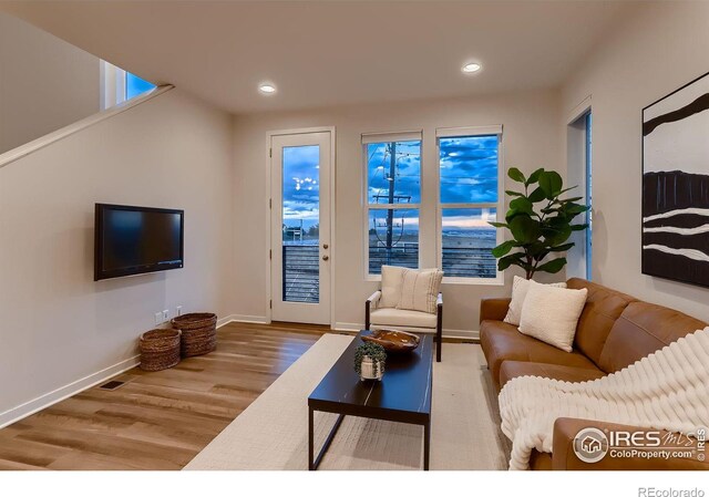 living room featuring hardwood / wood-style floors