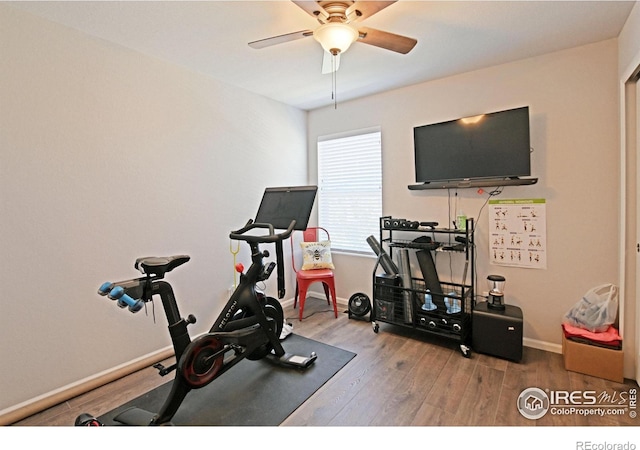 workout area with hardwood / wood-style flooring and ceiling fan