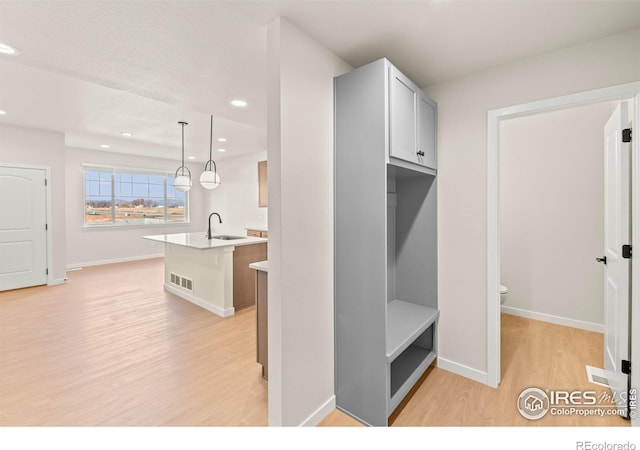 mudroom featuring light hardwood / wood-style floors and sink