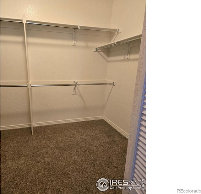 spacious closet featuring dark carpet