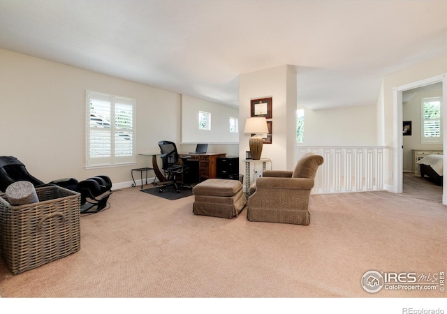 living room featuring plenty of natural light and carpet