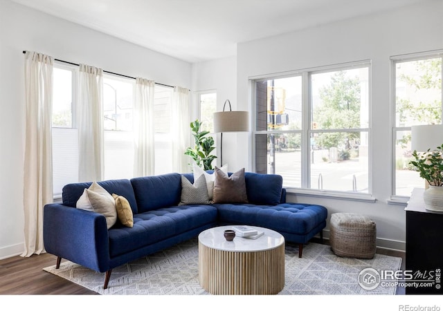 living room with wood-type flooring and a wealth of natural light