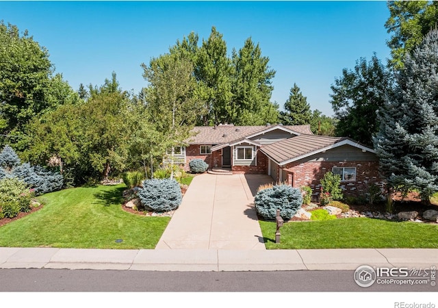 ranch-style house with a front lawn