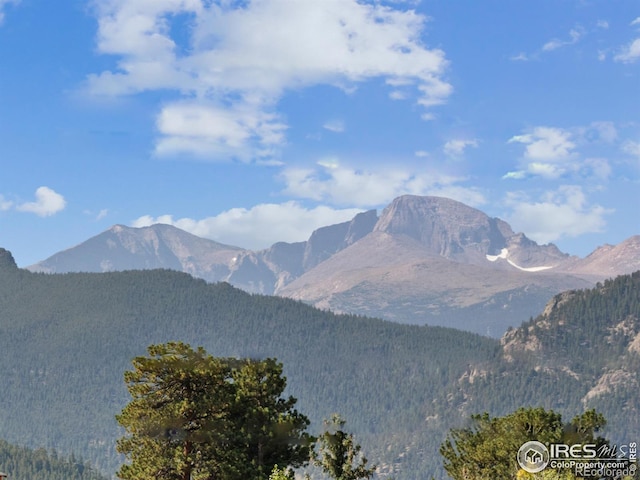 mountain view with a view of trees