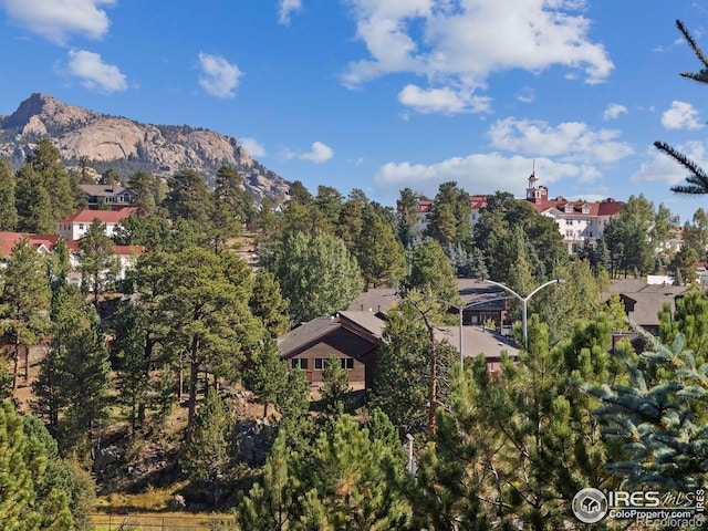 bird's eye view with a mountain view