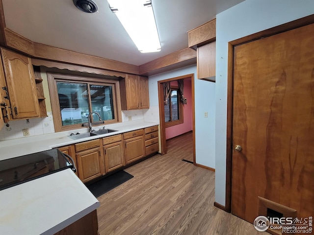 kitchen with hardwood / wood-style floors, tasteful backsplash, and sink