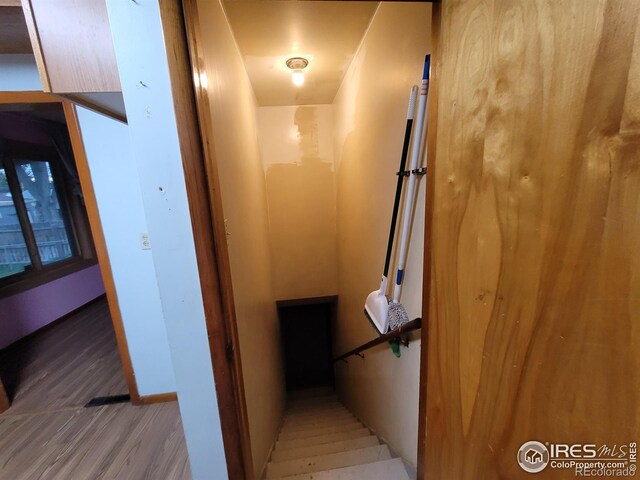 stairway with hardwood / wood-style floors