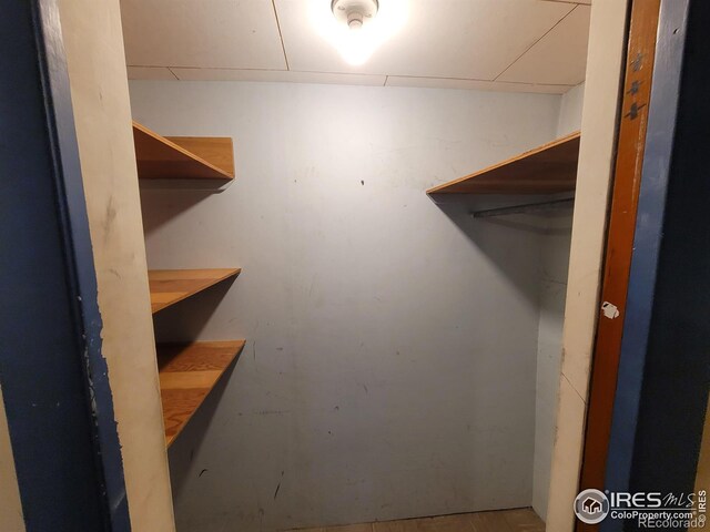 view of walk in closet