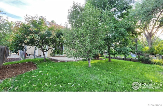 view of yard featuring a patio area