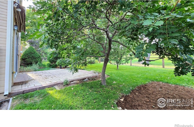 view of yard featuring a patio