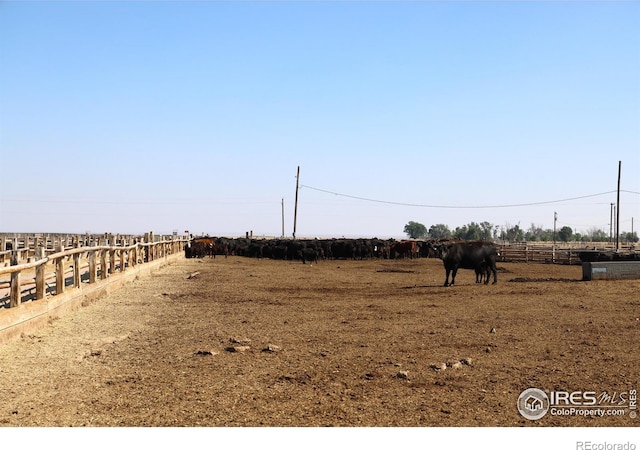 view of yard with a rural view