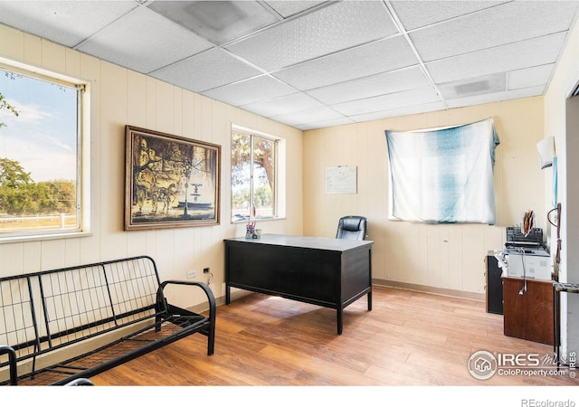 office with light hardwood / wood-style flooring and a drop ceiling