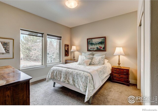 view of carpeted bedroom