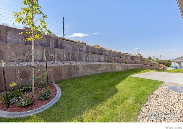 view of yard with a patio area