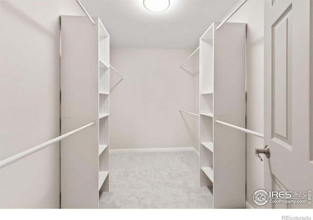 walk in closet with light colored carpet