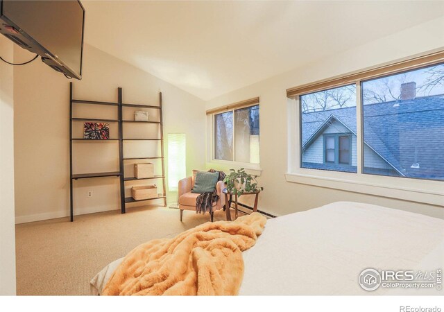 bedroom featuring carpet, vaulted ceiling, and a baseboard radiator