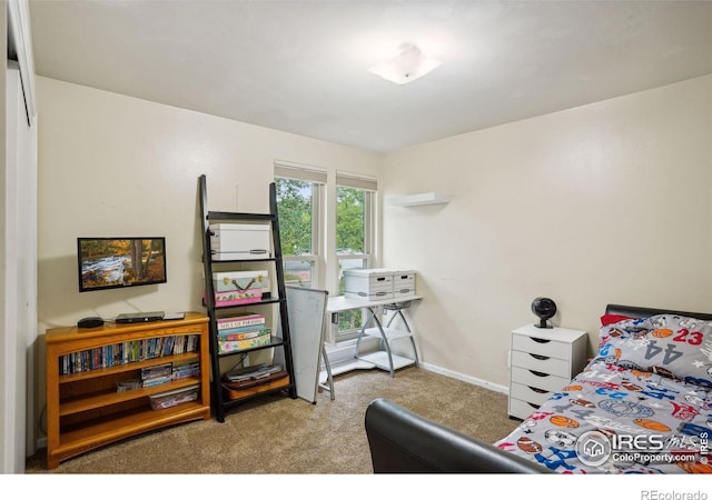 view of carpeted bedroom