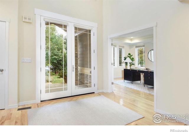 entryway featuring a wealth of natural light, hardwood / wood-style flooring, and a raised ceiling