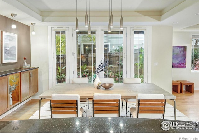 dining area featuring light hardwood / wood-style flooring, a tray ceiling, and a healthy amount of sunlight