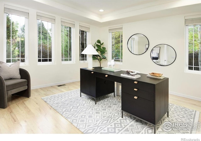 office with light hardwood / wood-style flooring and a wealth of natural light