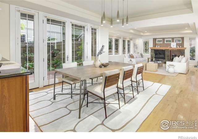 dining area with a wealth of natural light, french doors, light hardwood / wood-style floors, and a raised ceiling