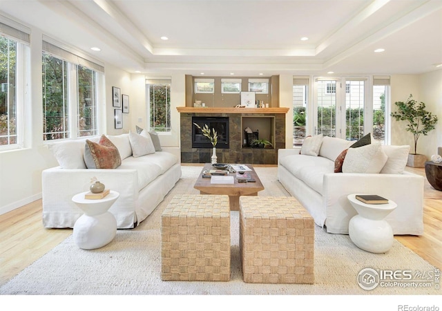 living room featuring a fireplace, light wood-type flooring, and a raised ceiling