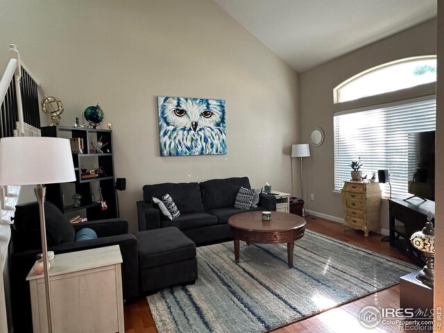 living room featuring wood-type flooring and high vaulted ceiling