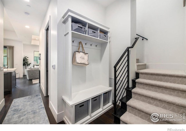 mudroom with dark hardwood / wood-style floors