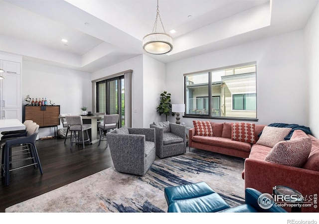 living room featuring dark hardwood / wood-style flooring and a raised ceiling