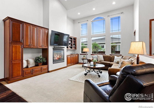 living room with a high ceiling and hardwood / wood-style floors