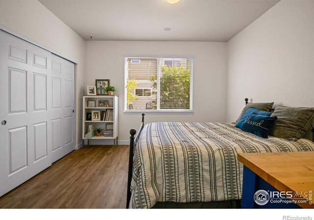 bedroom featuring dark wood-type flooring and a closet