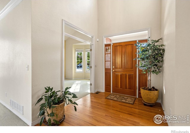 foyer entrance featuring light wood-type flooring