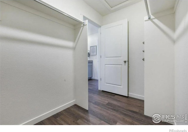 spacious closet featuring dark hardwood / wood-style floors