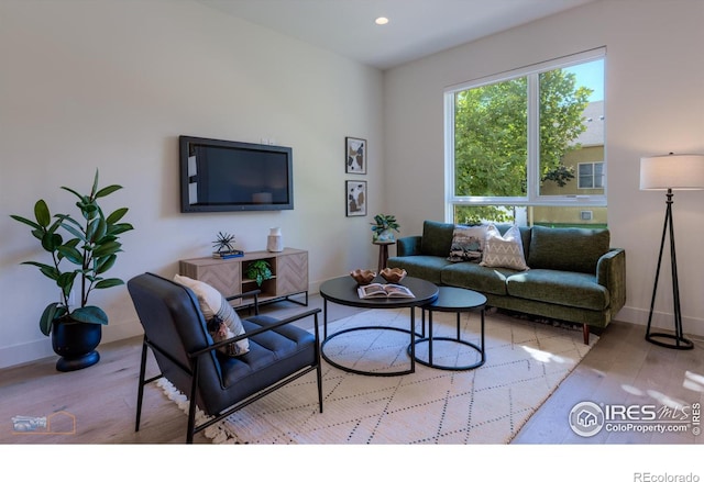 living room featuring light hardwood / wood-style flooring