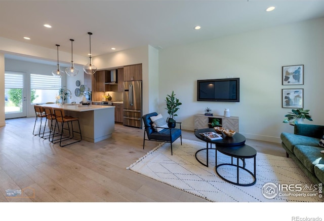 living room with light wood-type flooring