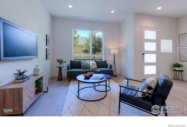 living room featuring light wood-type flooring