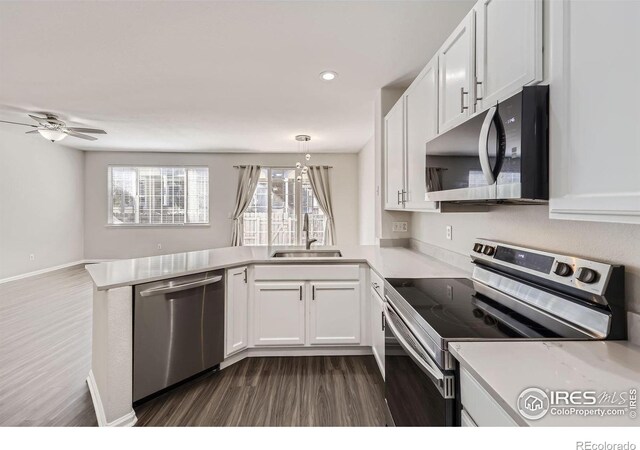 kitchen with appliances with stainless steel finishes, ceiling fan with notable chandelier, white cabinetry, and dark hardwood / wood-style flooring