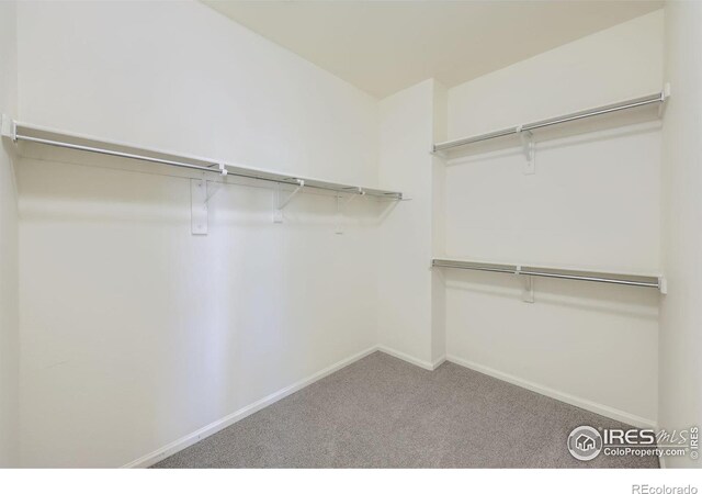 spacious closet featuring carpet flooring