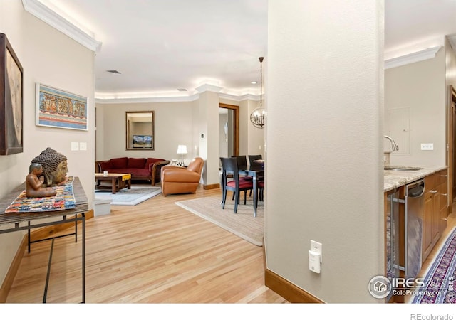 living room with light wood-type flooring, crown molding, and sink