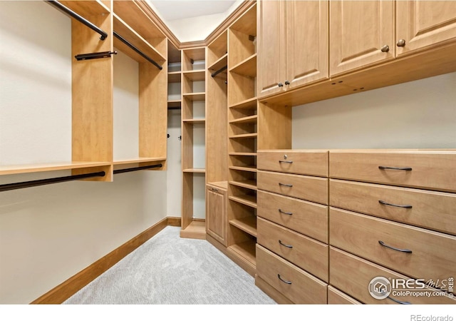 walk in closet with light colored carpet