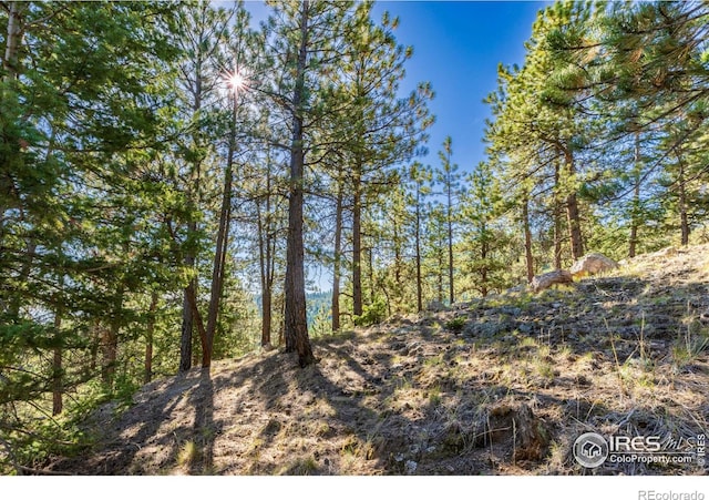 155 Millionaire Dr W, Boulder CO, 80302 land for sale