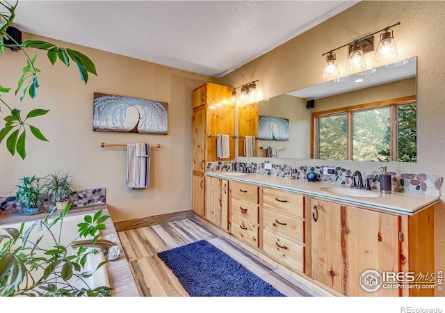 bathroom with vanity and wood-type flooring