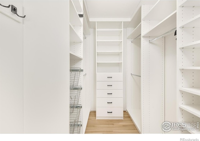 spacious closet with light hardwood / wood-style floors