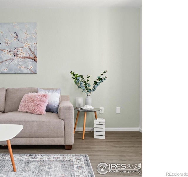 living area with hardwood / wood-style flooring