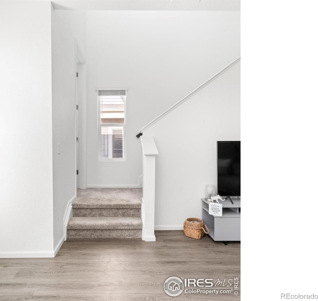 stairs featuring hardwood / wood-style flooring